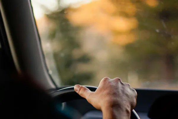 Mão no volante de um táxi com árvores douradas ao fundo — corridas locais em Moledo, Cristelo e Caminha · Táxi Afonso · 11 Moledo e Cristelo